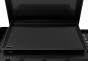 GP (5).png